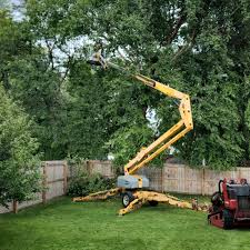 Best Landscape Design and Installation  in Smithfield, VA