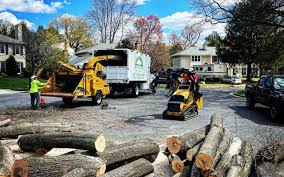 Best Tree Health Inspection  in Smithfield, VA