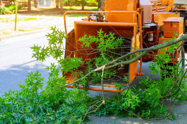 Best Utility Line Clearance  in Smithfield, VA