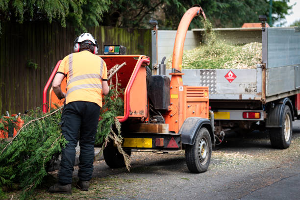 Best Lawn Maintenance Plans  in Smithfield, VA