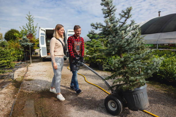  Smithfield, VA Tree Services Pros